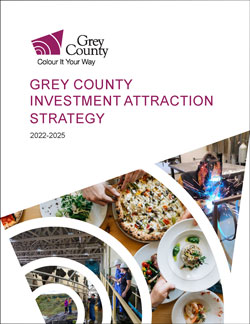 Cover of the Investment Attraction Strategy
