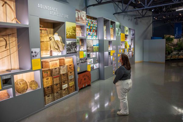 Grey Roots Exhibit